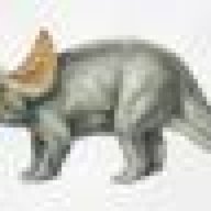Triceratops