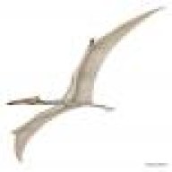 Quetzalcoatlus