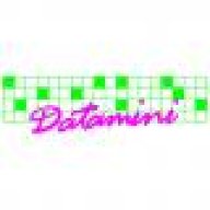 Datamini