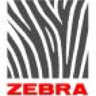 Zebra
