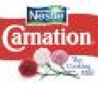 Carnation