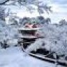 Shenyang