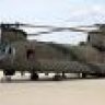Chinook