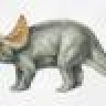 Triceratops
