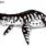 Liopleurodon