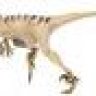 Megaraptor