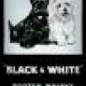 BlackWhite
