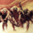 Neanderthal