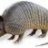 Armidillo