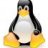 Linux