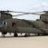 Chinook