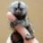 Marmoset