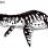 Liopleurodon